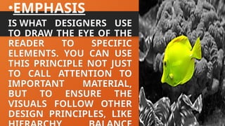 Visual Design.pptx_POwerpoint Presentation | PPTX