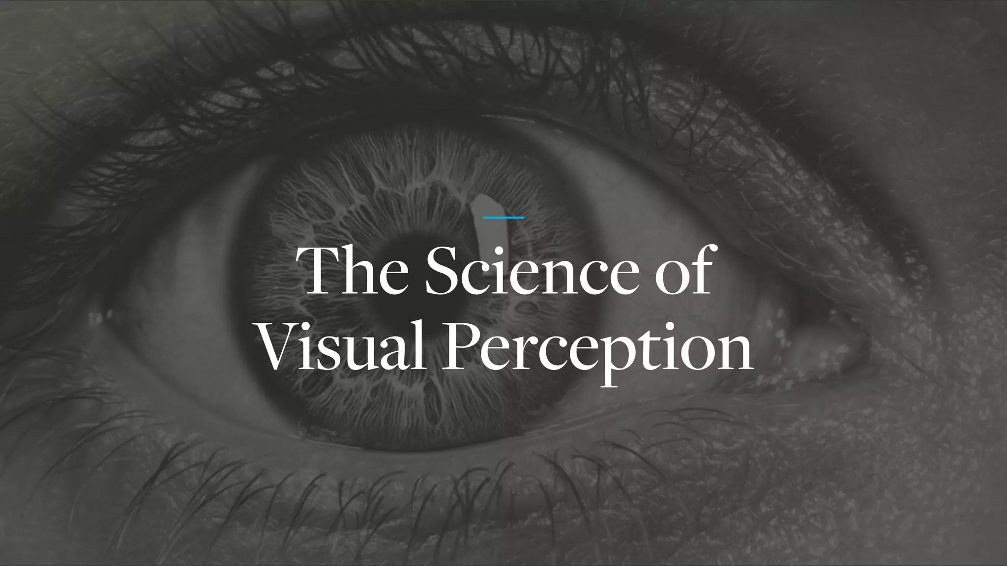 The Science of
Visual Perception
 
