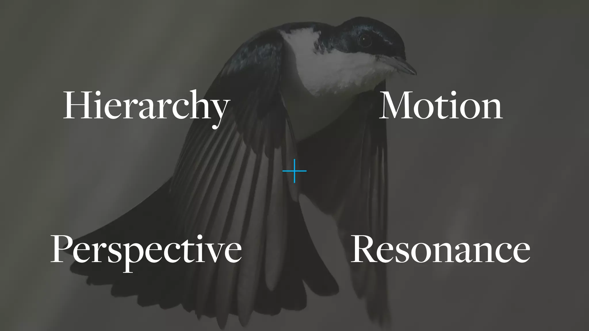 Hierarchy Motion
Perspective Resonance
 