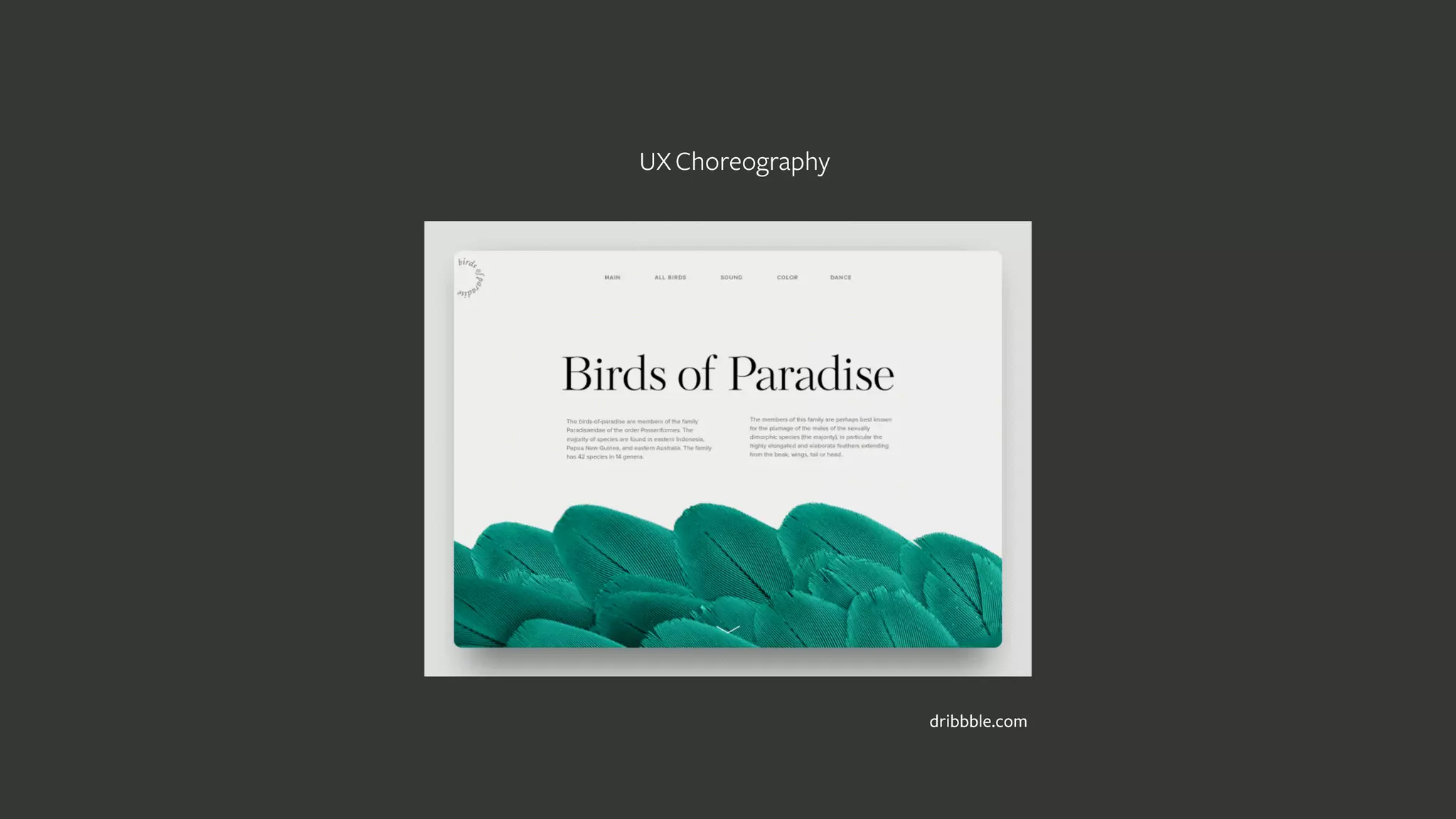 UXChoreography
dribbble.com
 