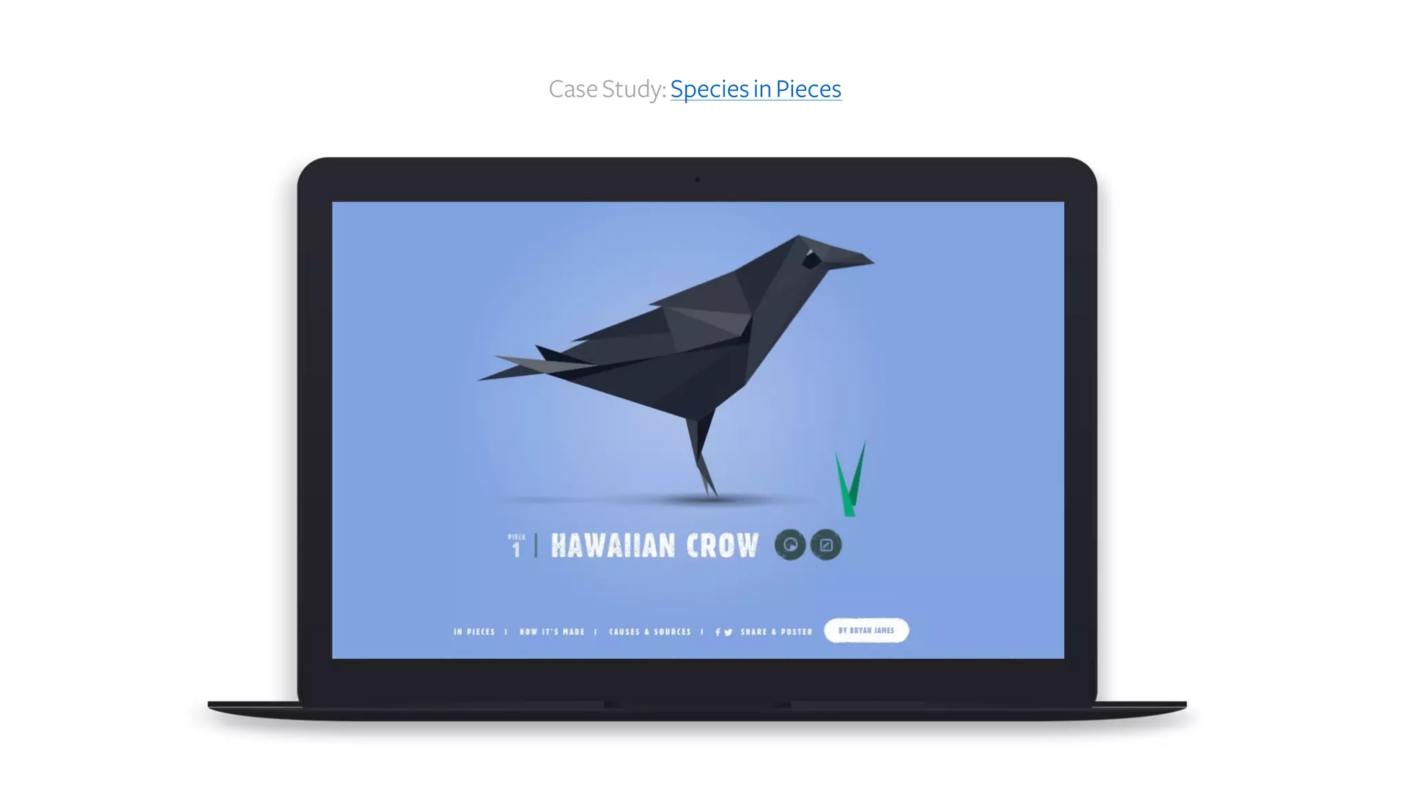 CaseStudy:SpeciesinPieces
 