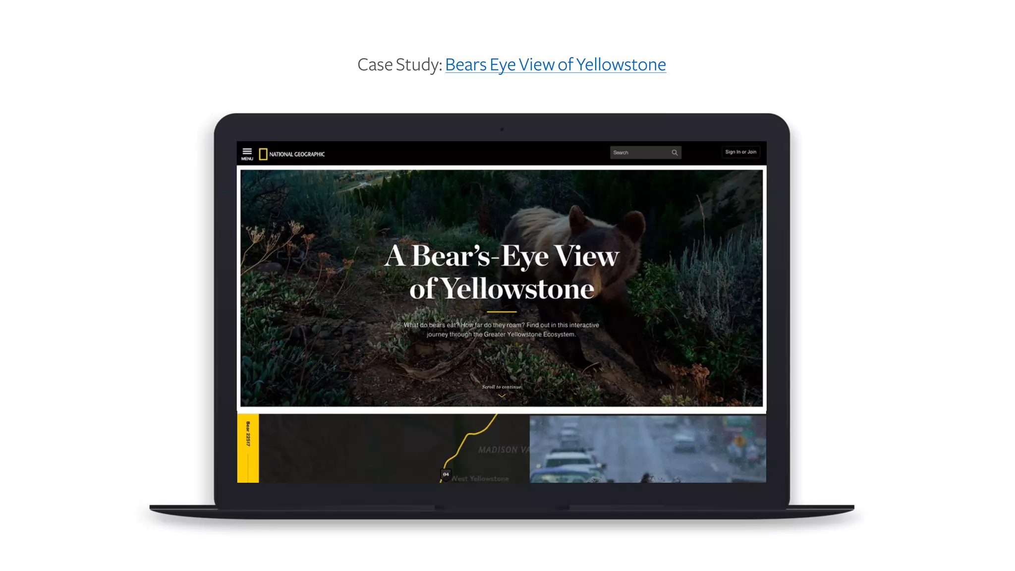 CaseStudy:BearsEyeViewofYellowstone
 