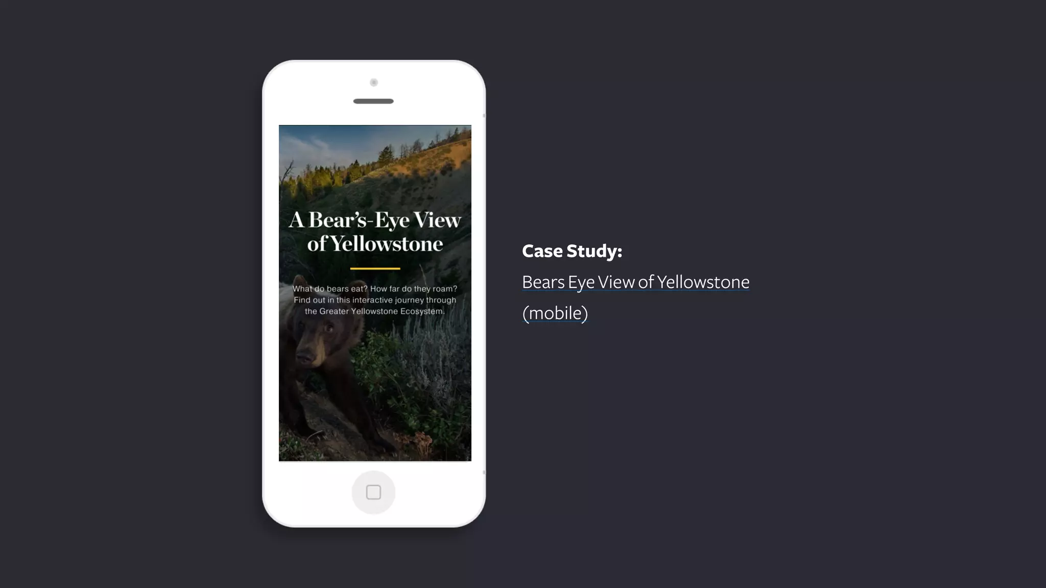 Case Study: 
BearsEyeViewofYellowstone
(mobile)
 