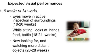 Visual development basics | PPTX