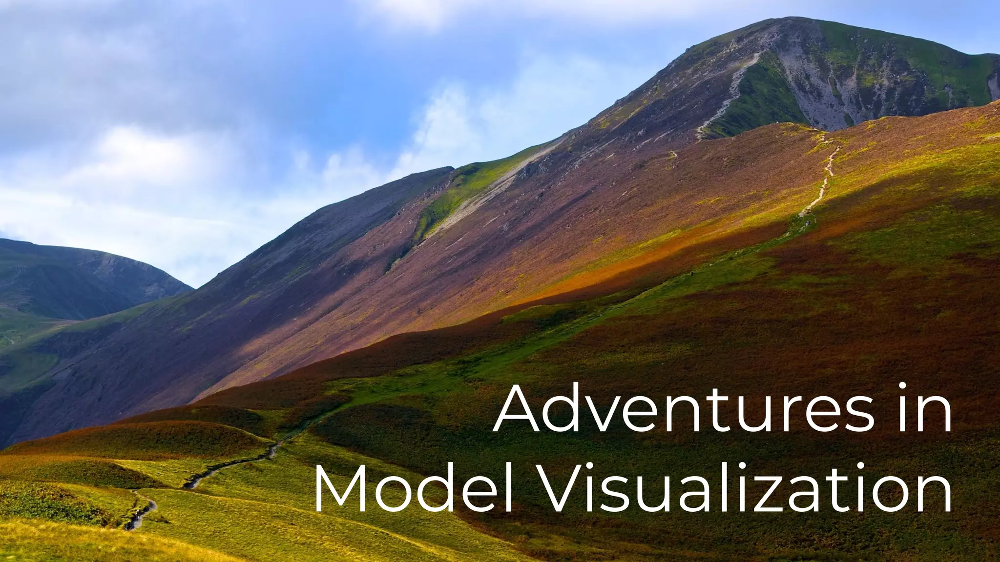 Adventures in
Model Visualization
 