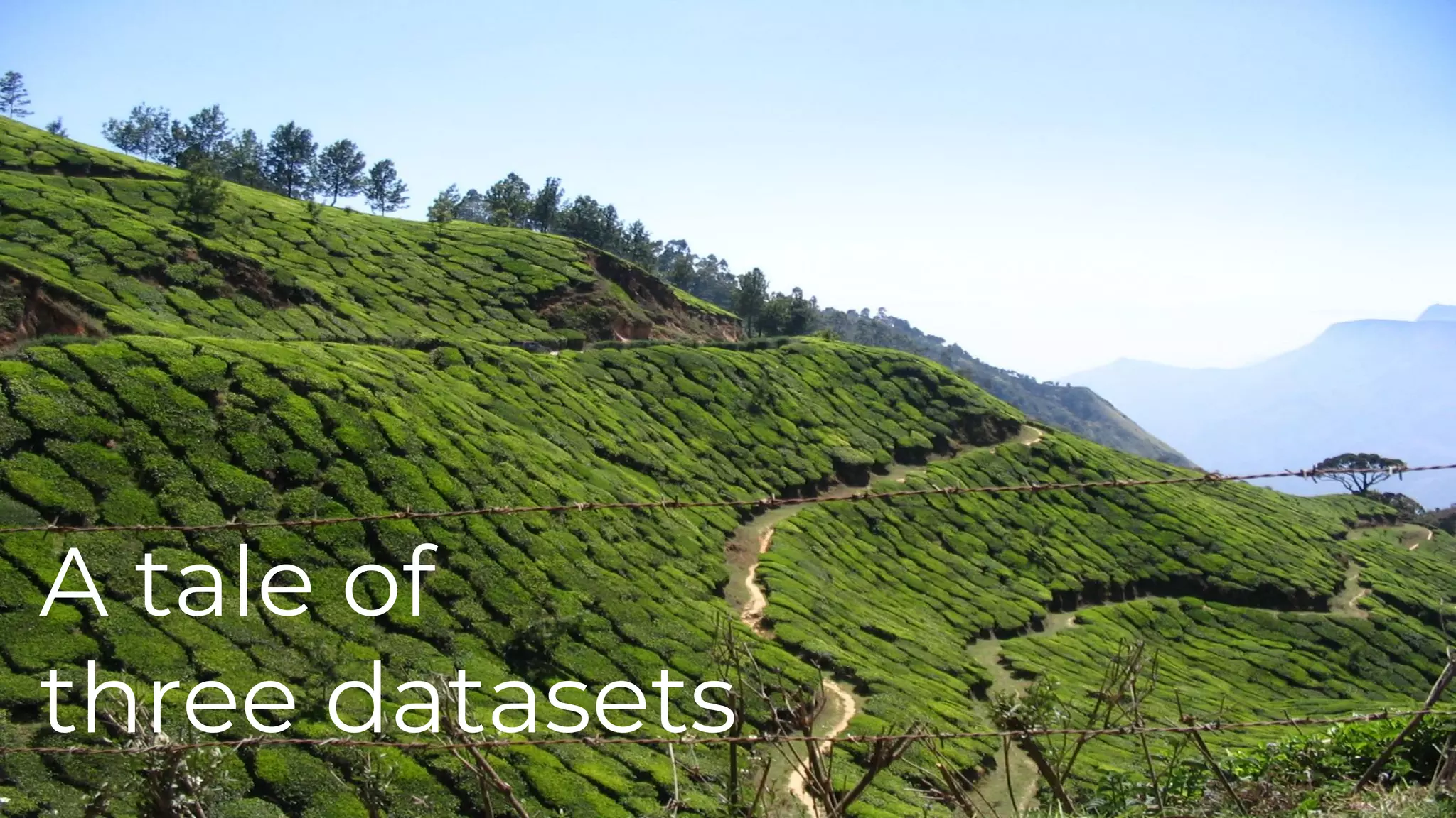 A tale of
three datasets
 