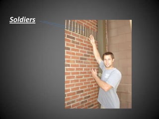 visual dictionary- cavitywall