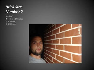 visual dictionary- cavitywall