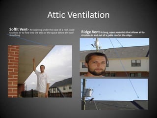 visual dictionary- cavitywall