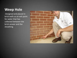 visual dictionary- cavitywall