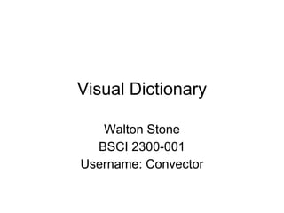 Visual Dictionary Walton Stone BSCI 2300-001 Username: Convector 