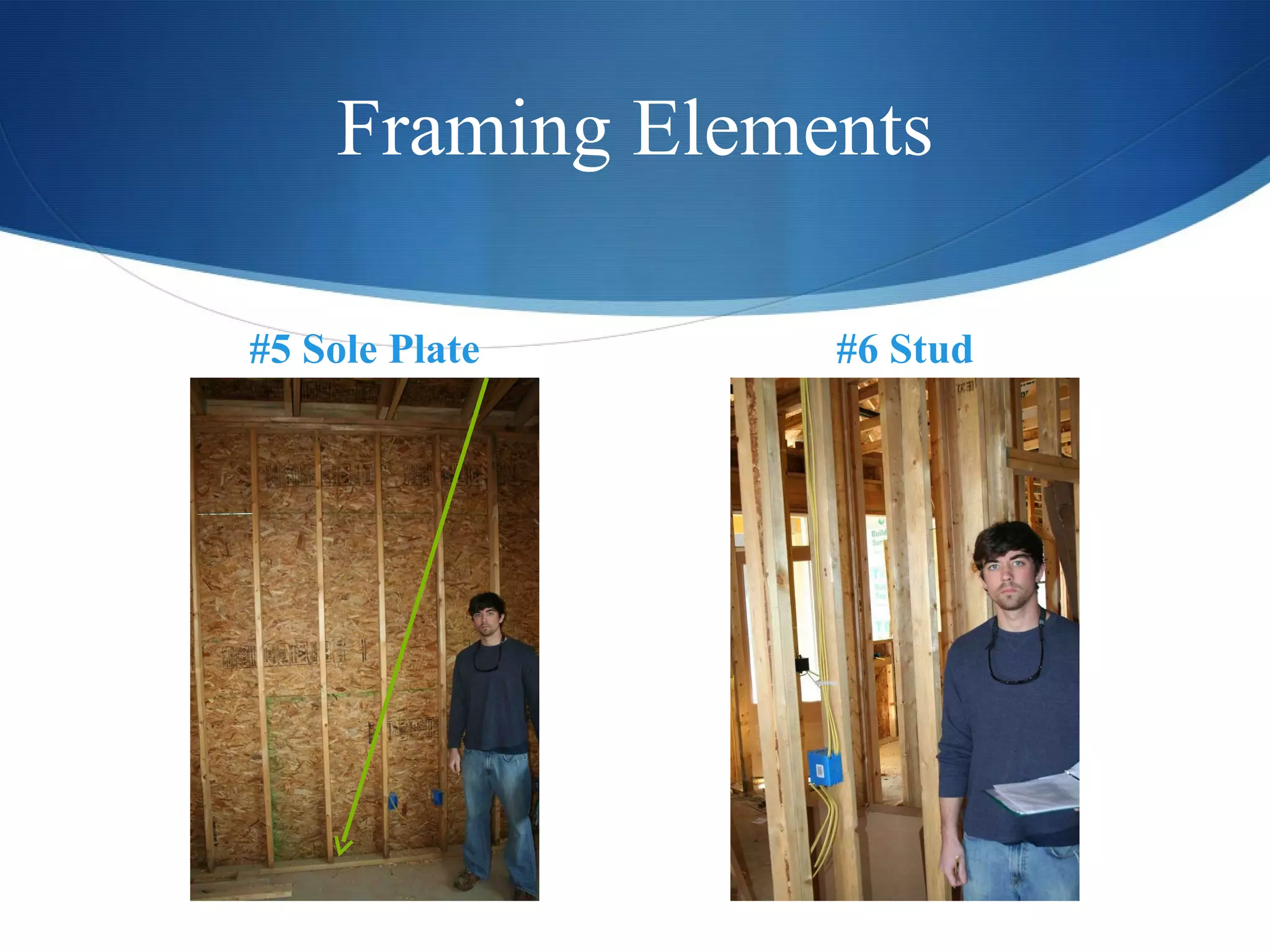 Framing Elements #5 Sole Plate #6 Stud 