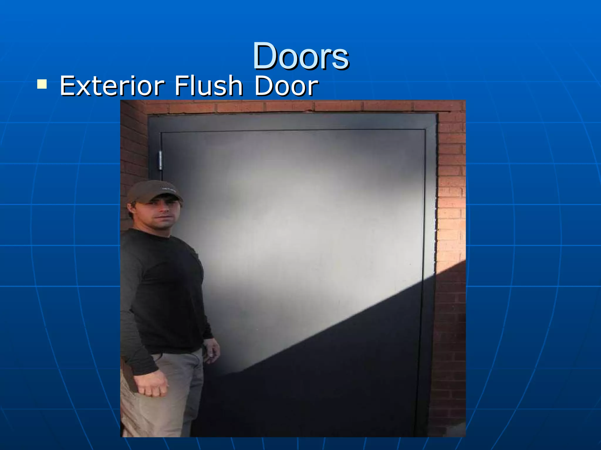 Doors Exterior Flush Door 