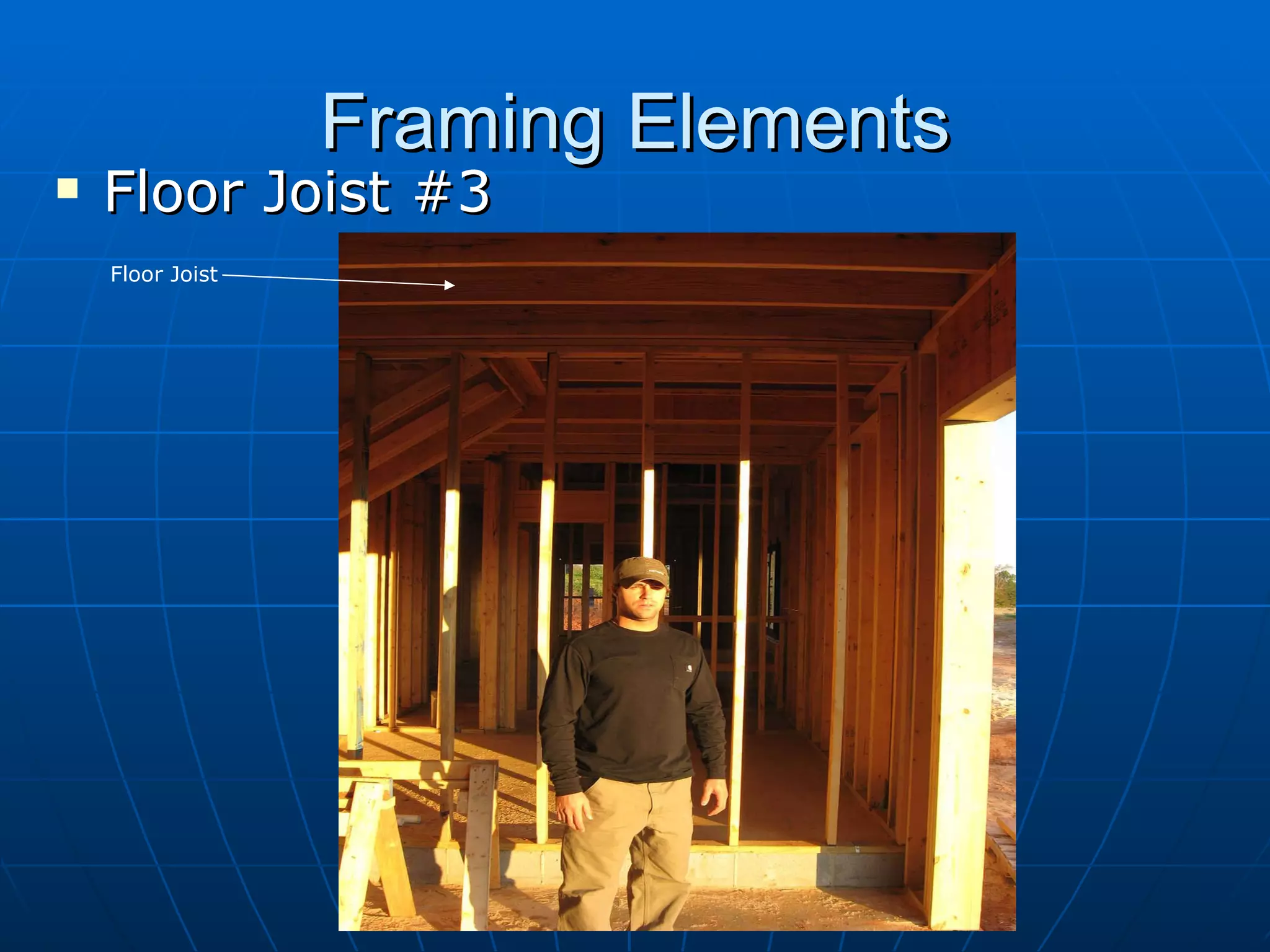 Framing Elements Floor Joist #3 Floor Joist 