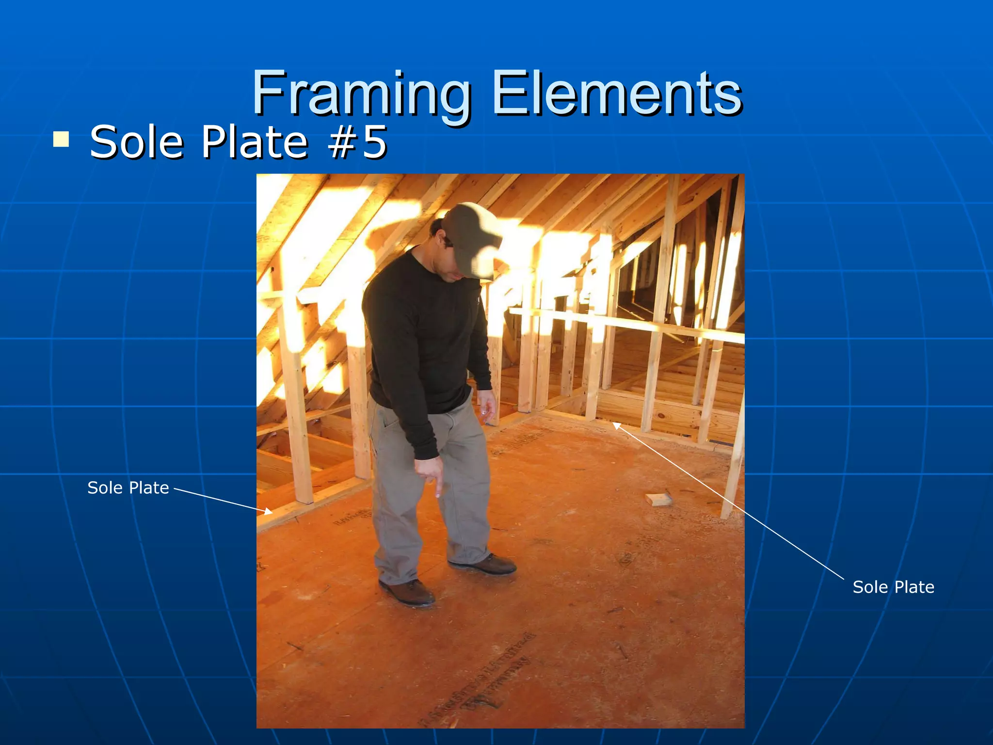 Framing Elements Sole Plate #5 Sole Plate Sole Plate 