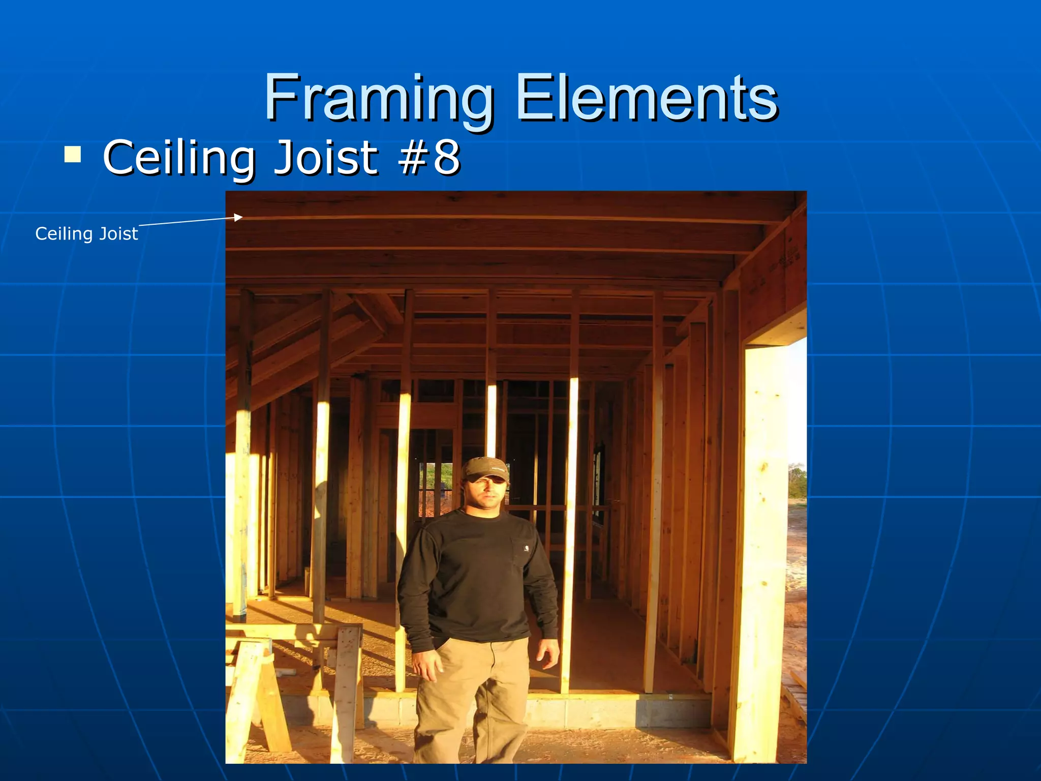 Framing Elements Ceiling Joist #8 Ceiling Joist 