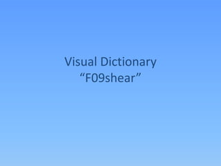 Visual Dictionary“F09shear” 