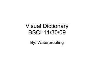 Visual Dictionary BSCI 11/30/09 By: Waterproofing 