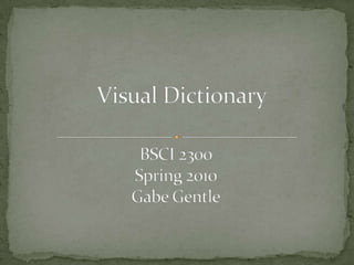 Visual Dictionary BSCI 2300Spring 2010 