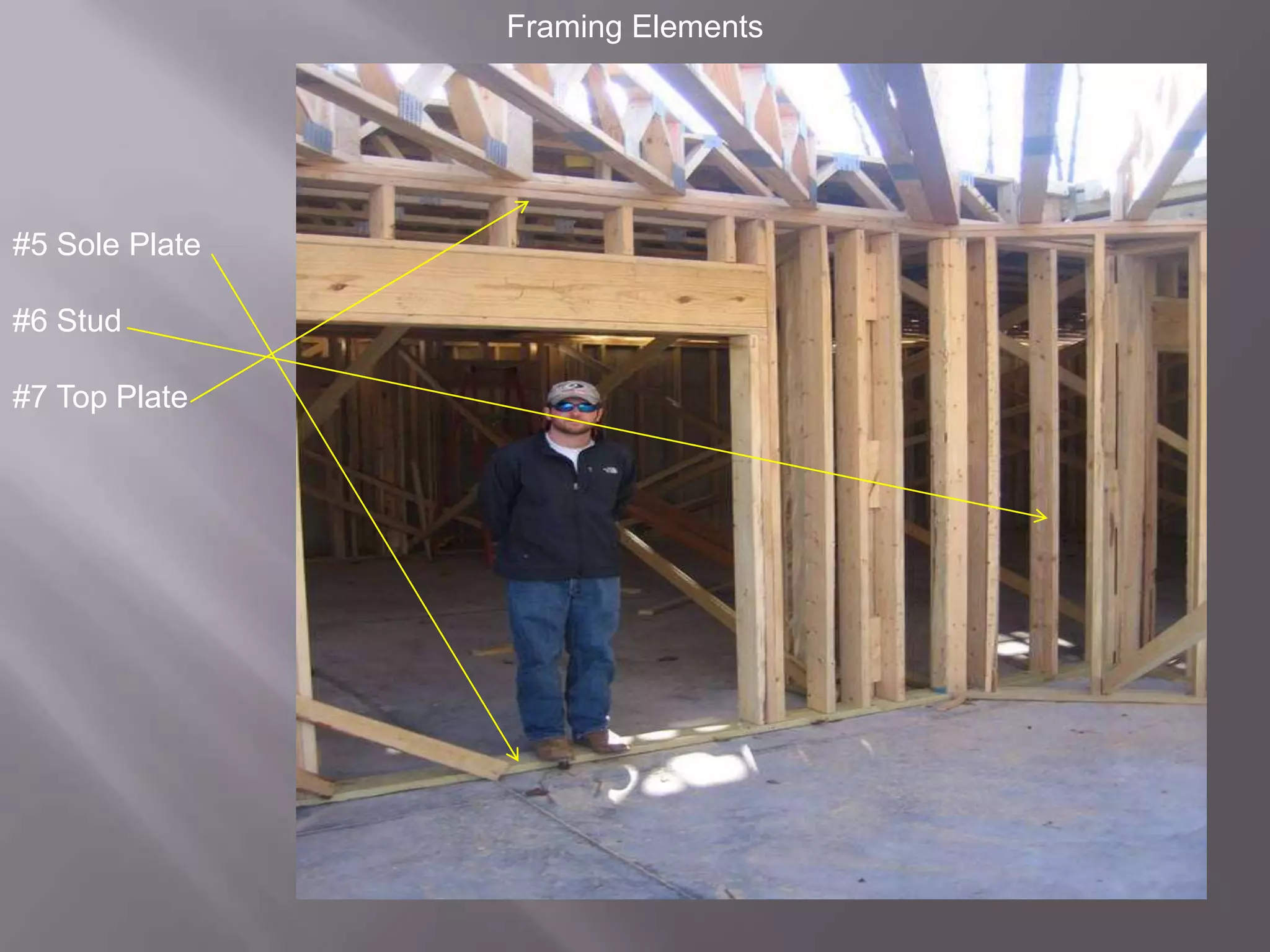 Framing Elements#5 Sole Plate#6 Stud#7 Top Plate