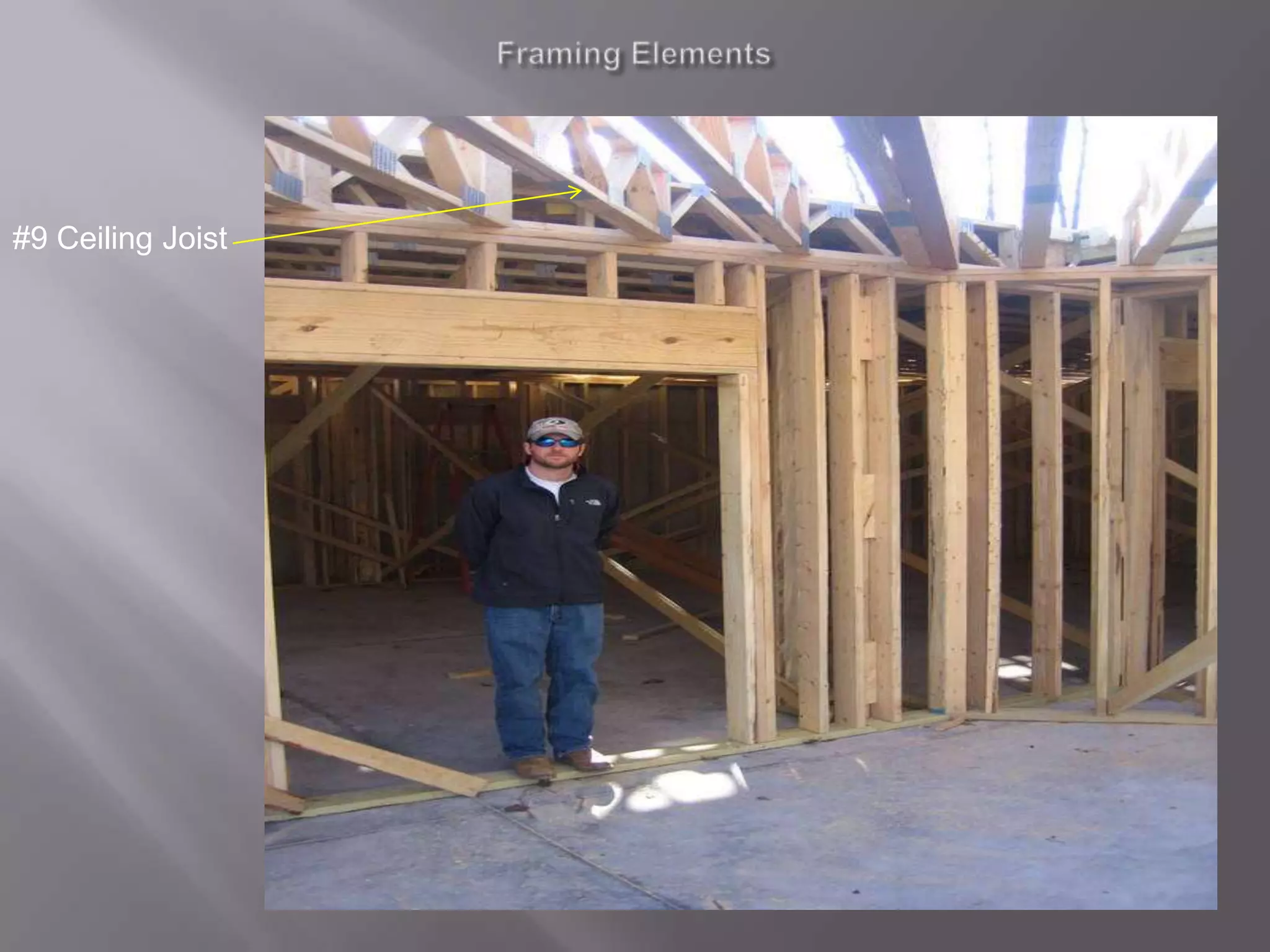 Framing Elements#9 Ceiling Joist