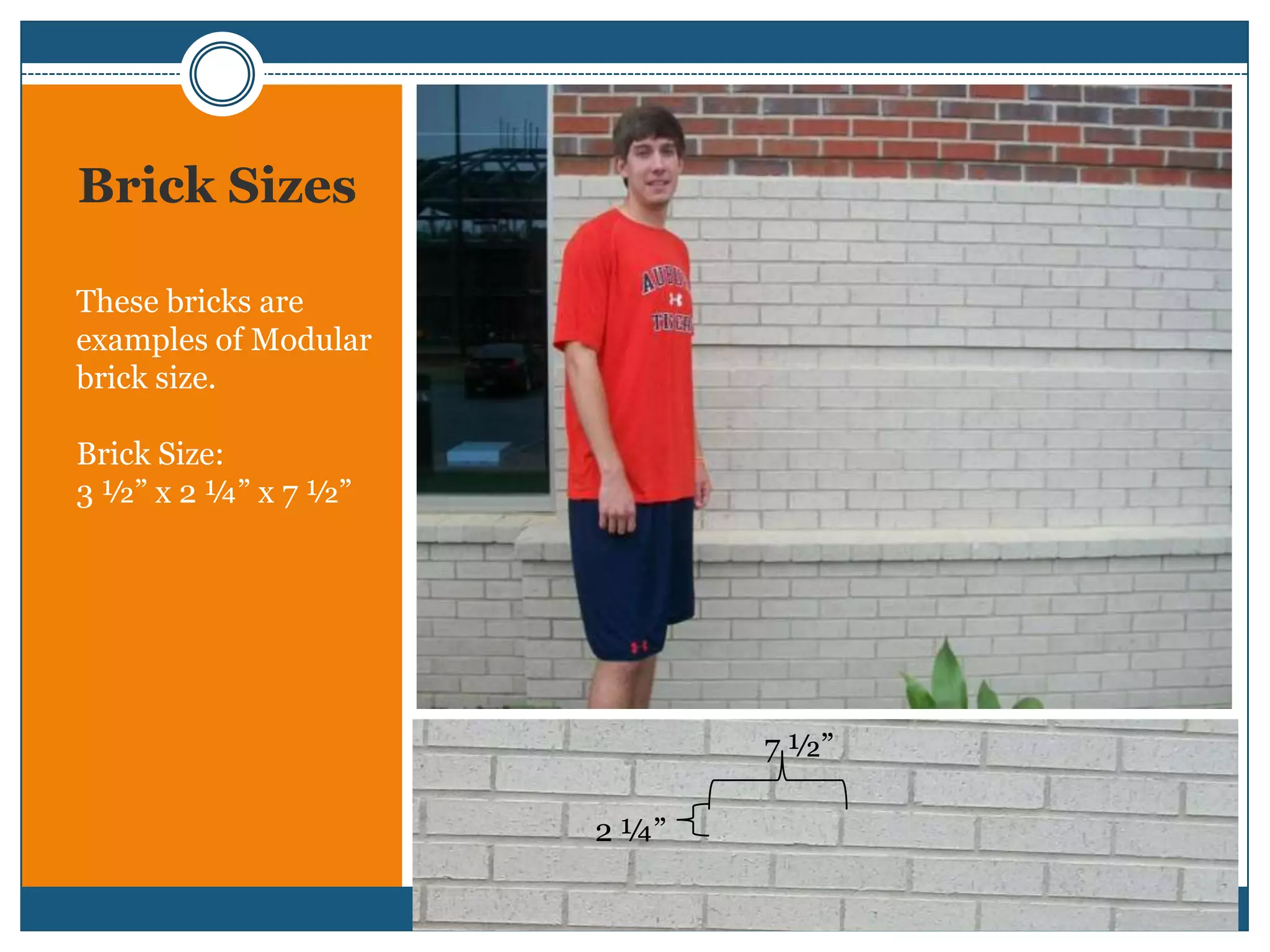 Brick SizesThese bricks are examples of Modular brick size. Brick Size: 3 ½” x 2 ¼” x 7 ½”7 ½” 2 ¼”