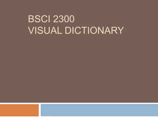 BSCI 2300
VISUAL DICTIONARY
 