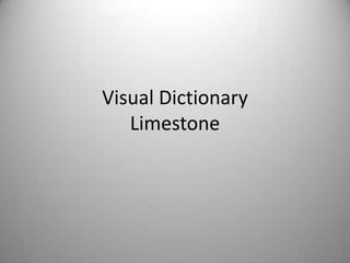 Visual DictionaryLimestone 