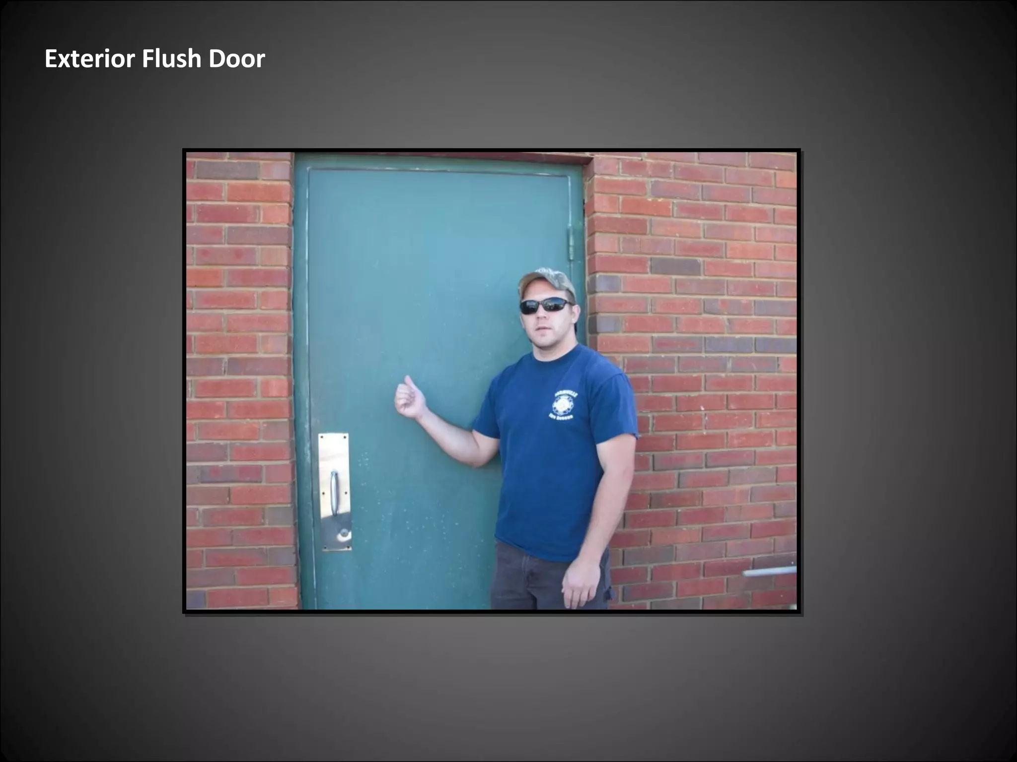 Exterior Flush Door  