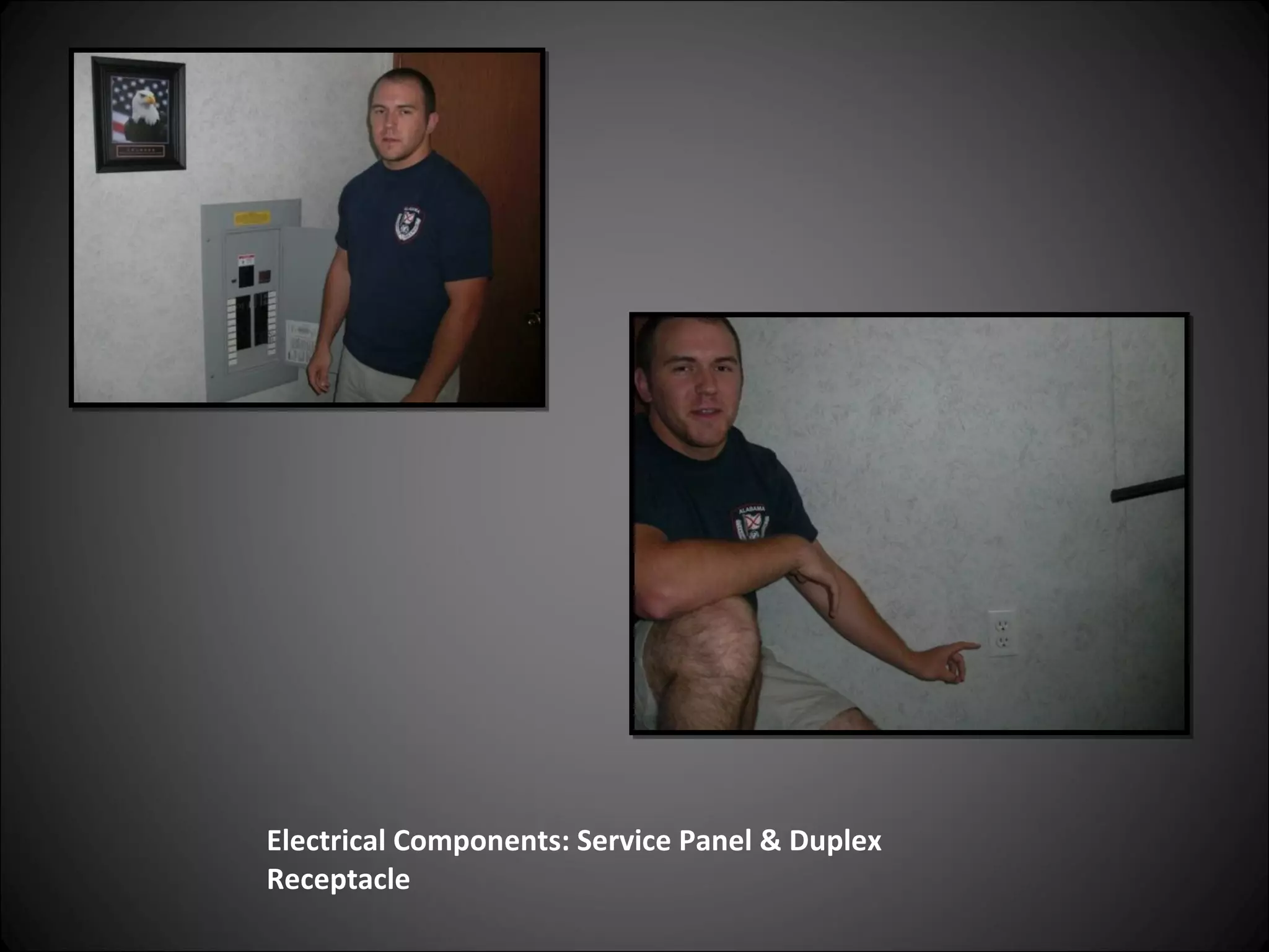 Electrical Components: Service Panel & Duplex Receptacle 