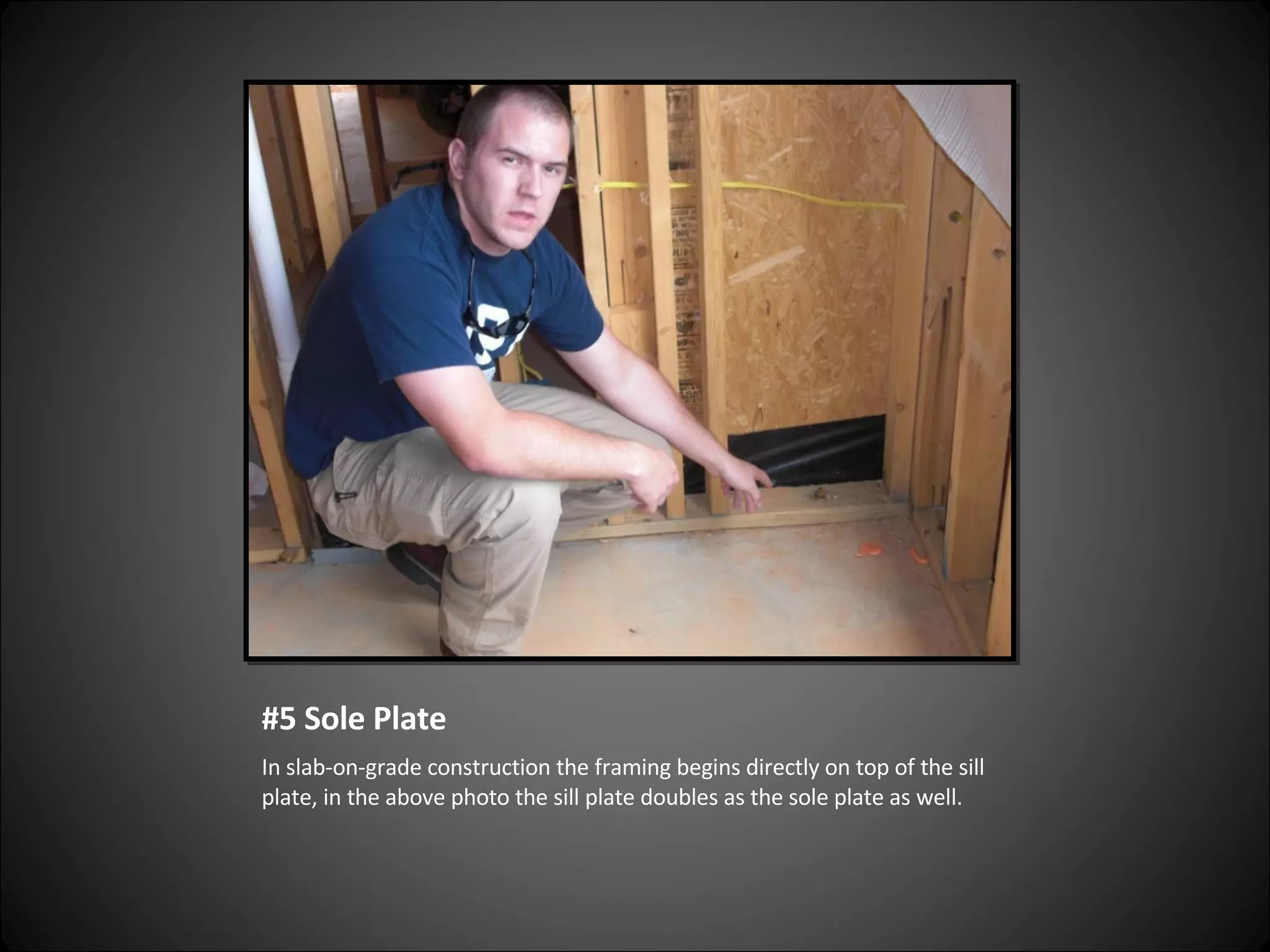 #5 Sole Plate In slab-on-grade construction the framing begins directly on top of the sill plate, in the above photo the sill plate doubles as the sole plate as well. 