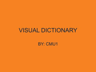 VISUAL DICTIONARY

     BY: CMU1
 