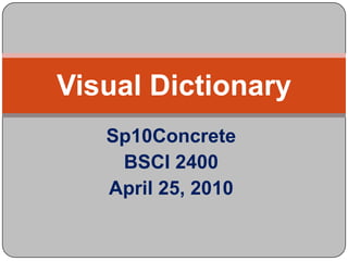 Sp10Concrete BSCI 2400 April 25, 2010 Visual Dictionary 