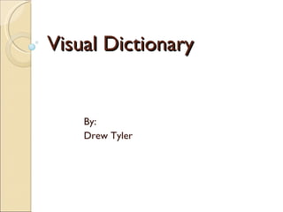 Visual Dictionary By: Drew Tyler 