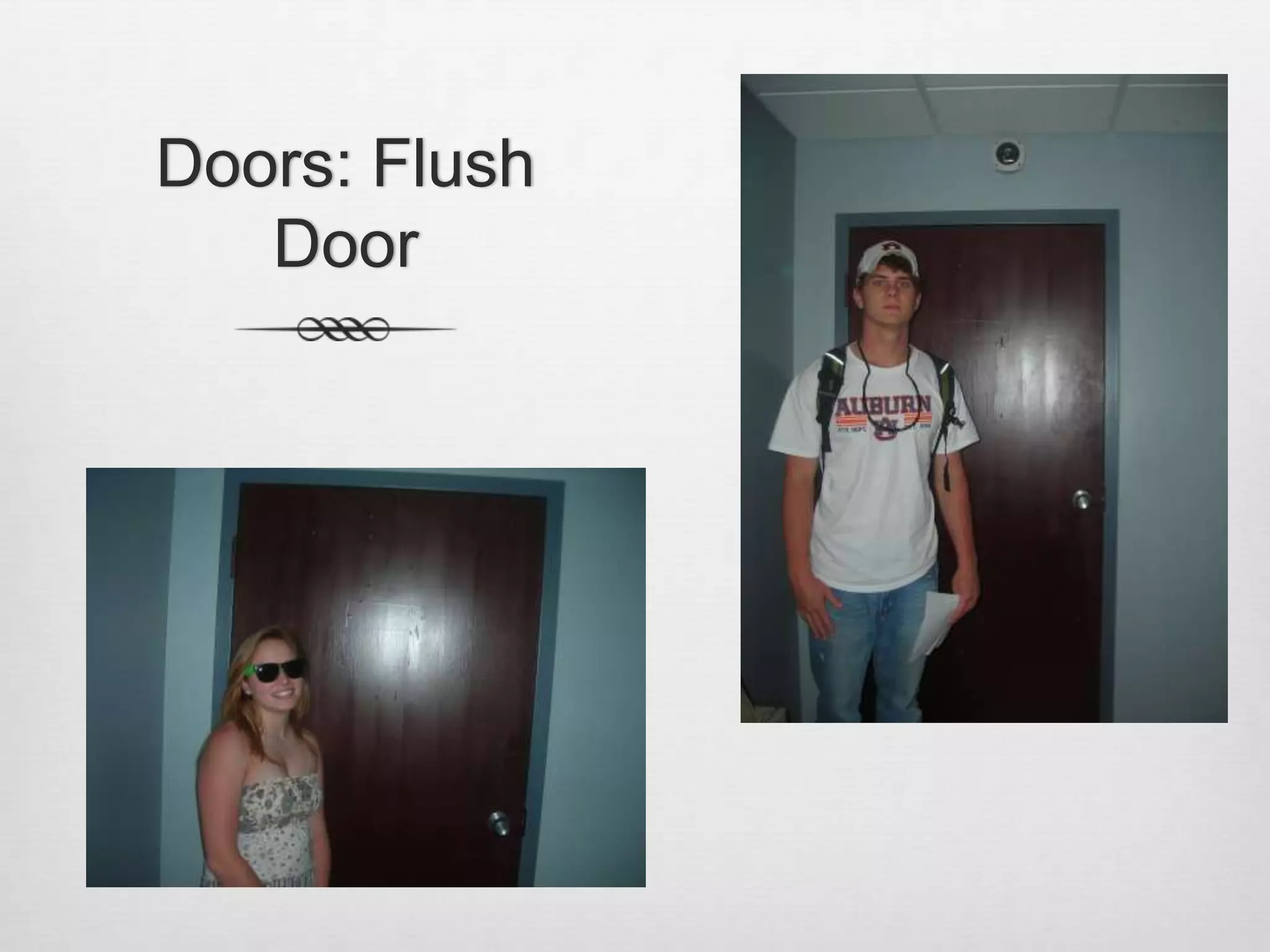Doors: Flush Door