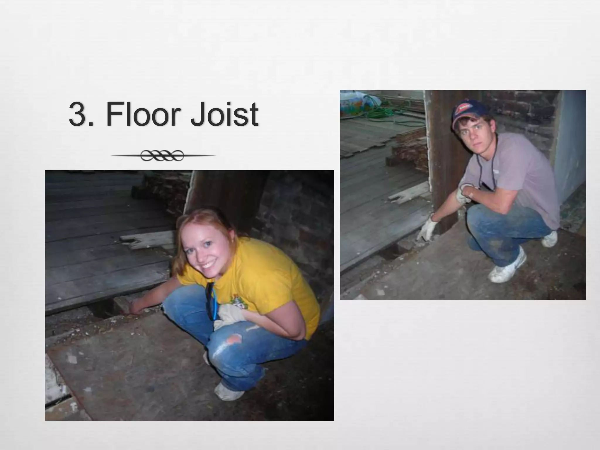 3. Floor Joist