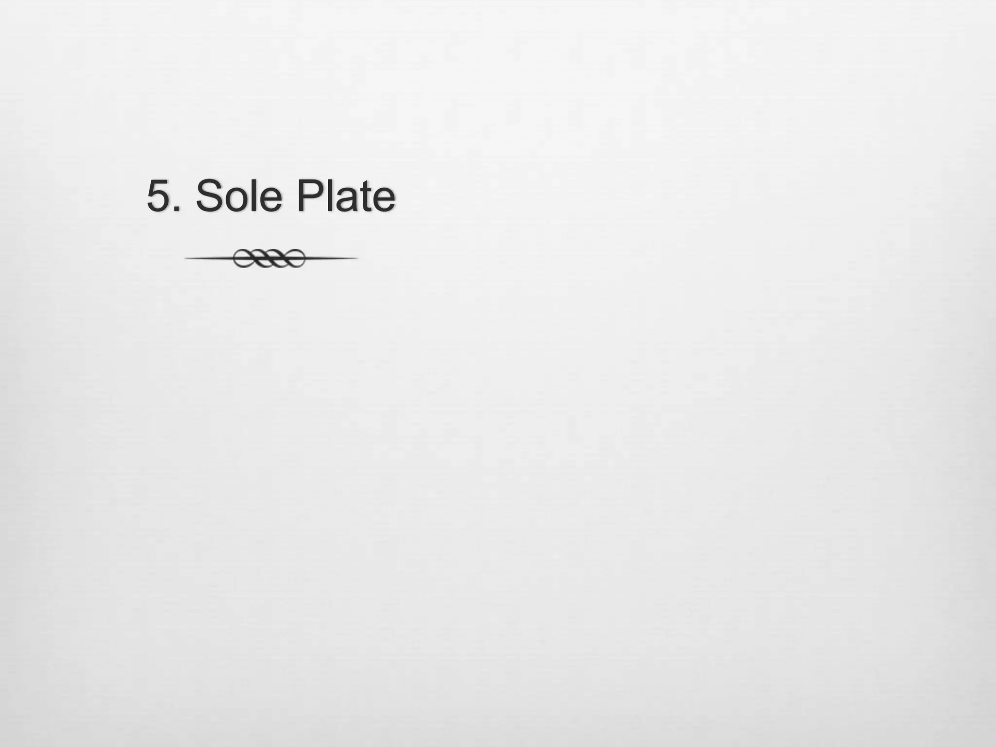 5. Sole Plate