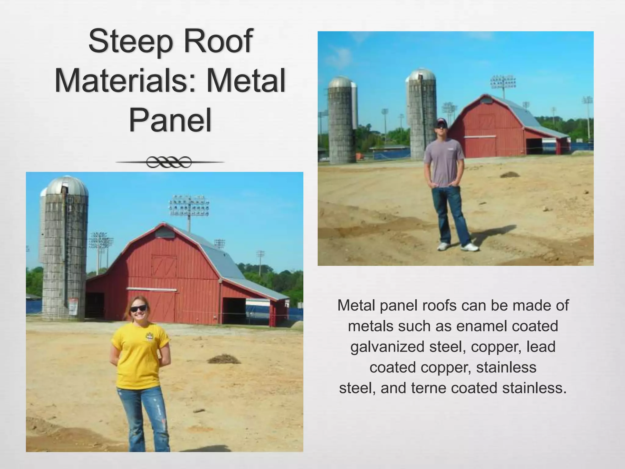 Steep Roof Materials: Metal PanelMetal panel roofs can be made of metals such as enamel coated galvanized steel, copper, lead coated copper, stainless steel, and terne coated stainless.
