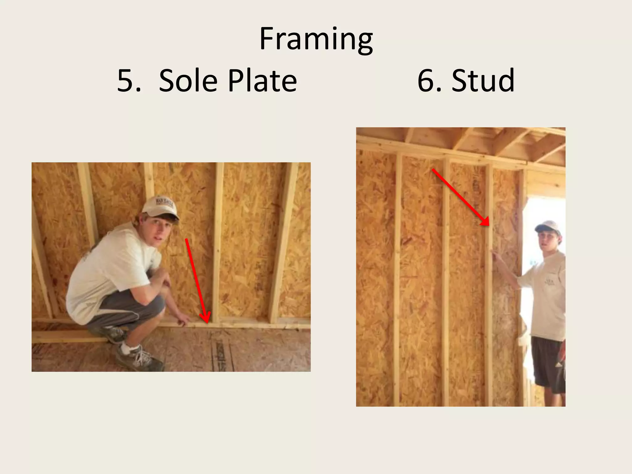 Framing5.  Sole Plate               6. Stud