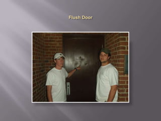 Flush Door