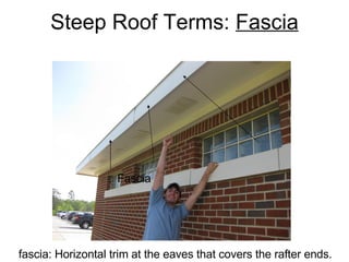 Steep Roof Terms:  Fascia Fascia fascia: Horizontal trim at the eaves that covers the rafter ends. 