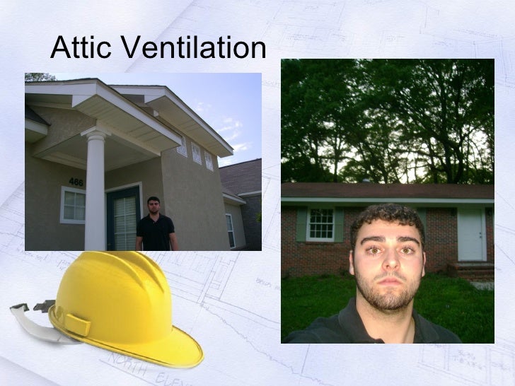 Visual Dictionary eave