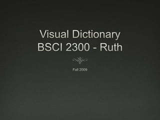 Visual DictionaryBSCI 2300 - Ruth Fall 2009 