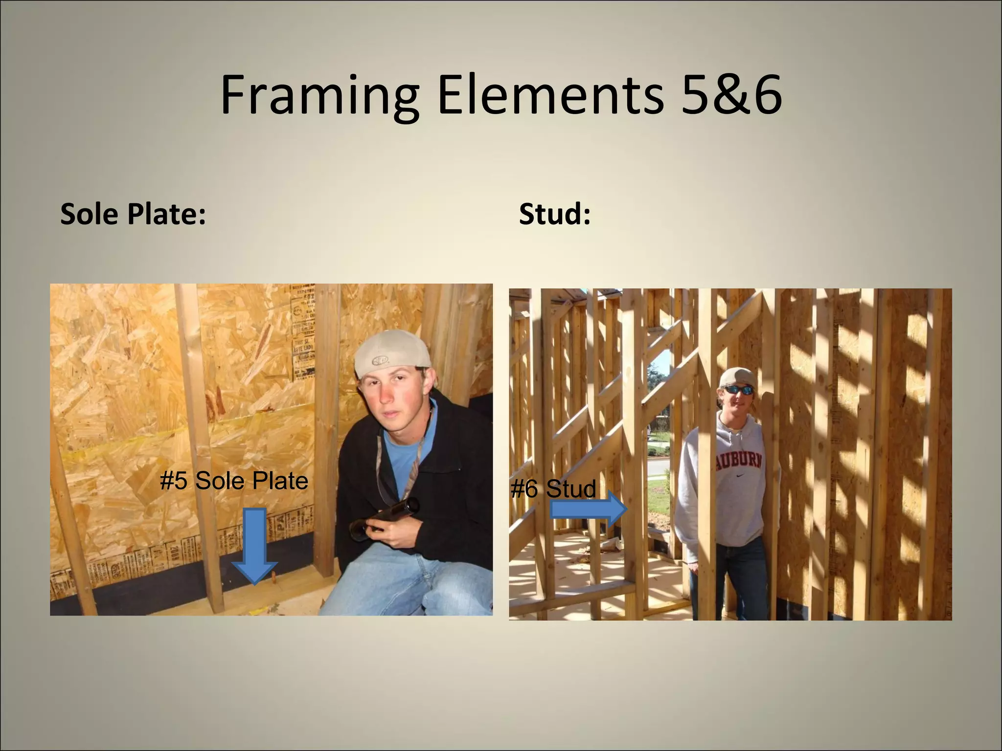 Framing Elements 5&6 Sole Plate: Stud: #5 Sole Plate #6 Stud #5 Sole Plate 
