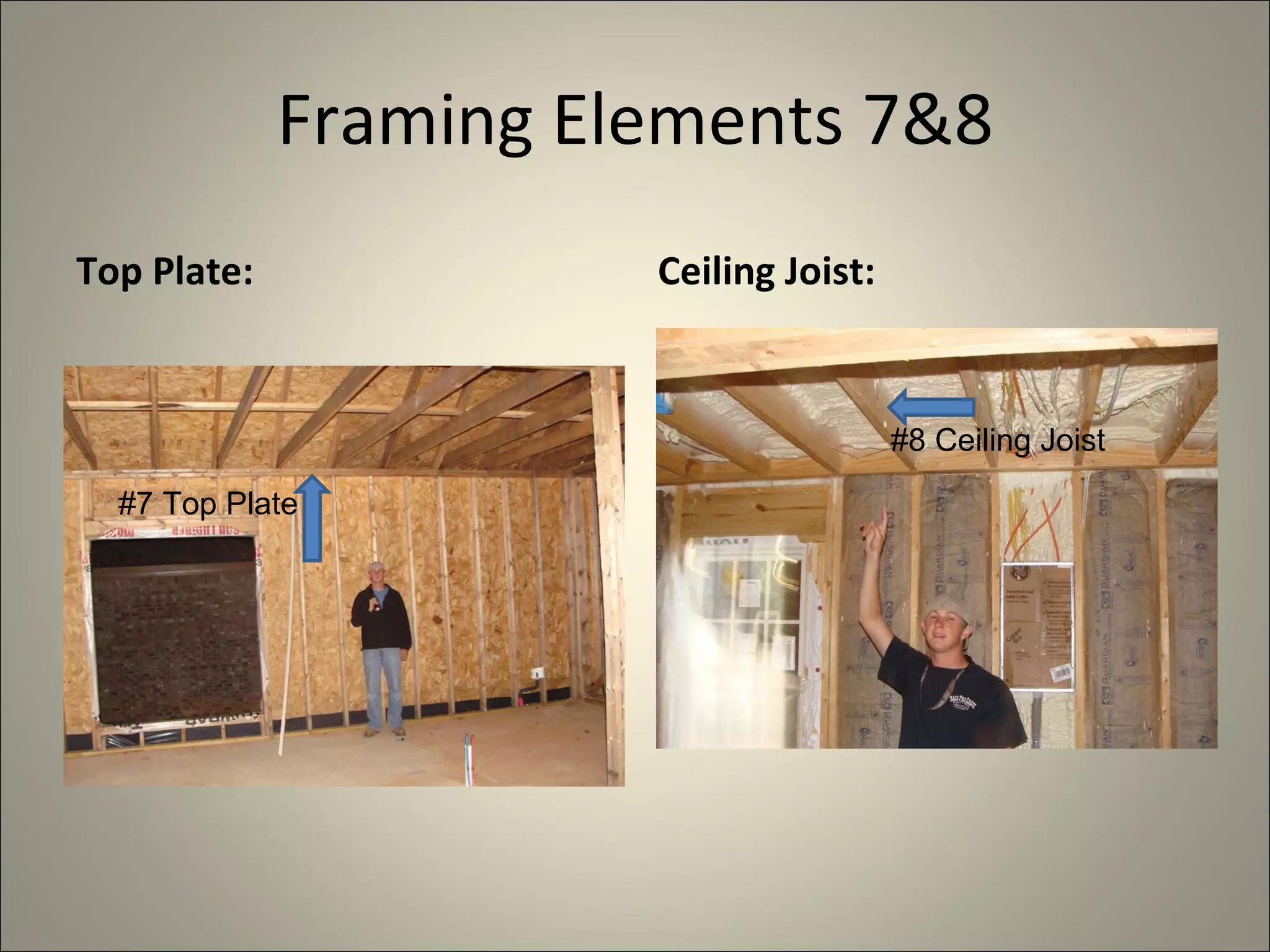 Framing Elements 7&8 Top Plate: Ceiling Joist: #8 Ceiling Joist #7 Top Plate 