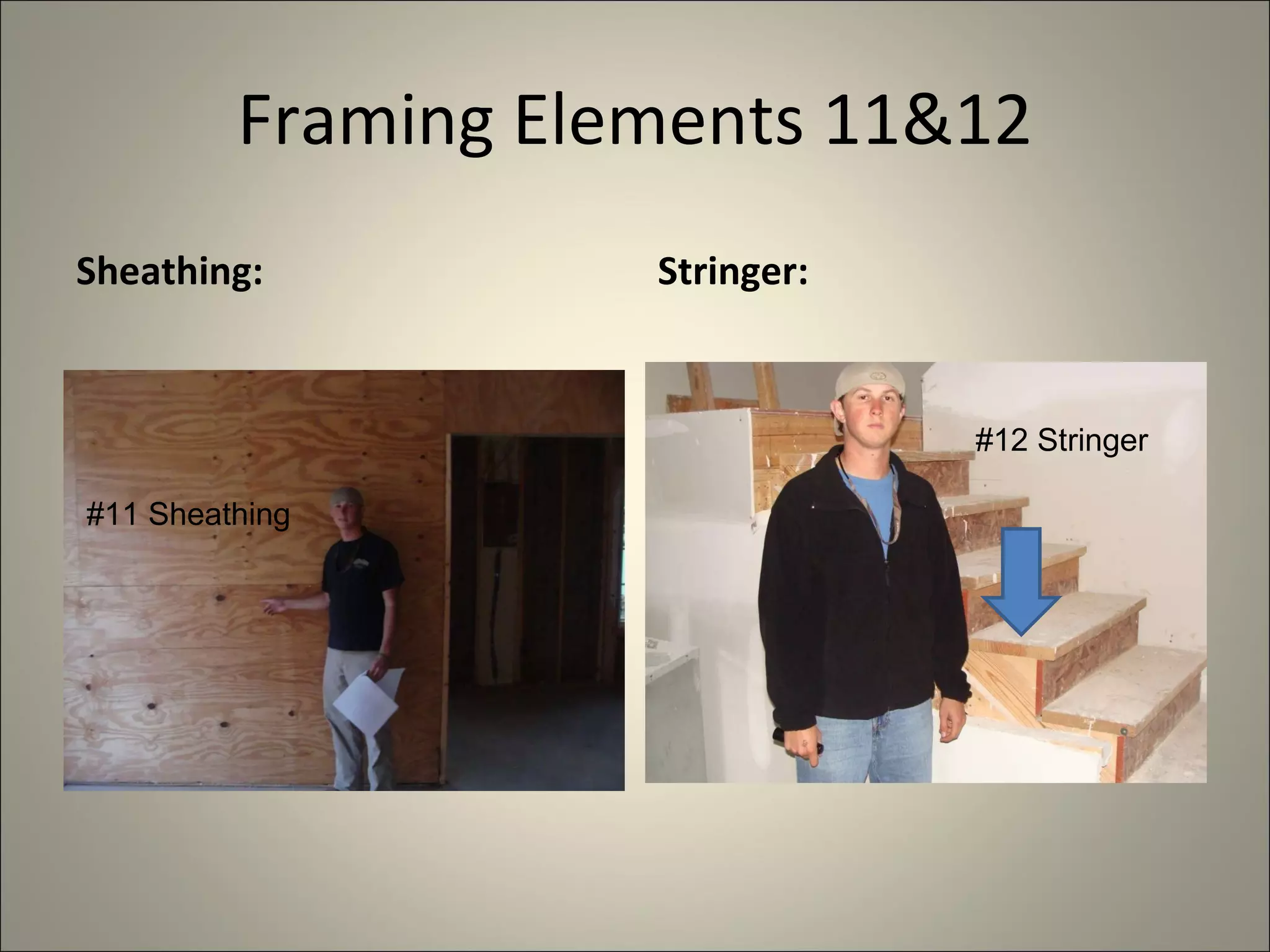 Framing Elements 11&12 Sheathing: Stringer: #11 Sheathing #12 Stringer 
