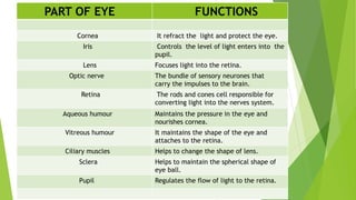 PART OF EYE FUNCTIONS
Cornea It refract the light and protect the eye.
Iris Controls the level of light enters into the
pupil.
Lens Focuses light into the retina.
Optic nerve The bundle of sensory neurones that
carry the impulses to the brain.
Retina The rods and cones cell responsible for
converting light into the nerves system.
Aqueous humour Maintains the pressure in the eye and
nourishes cornea.
Vitreous humour It maintains the shape of the eye and
attaches to the retina.
Ciliary muscles Helps to change the shape of lens.
Sclera Helps to maintain the spherical shape of
eye ball.
Pupil Regulates the flow of light to the retina.
 