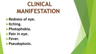 CLINICAL
MANIFESTATION
Redness of eye.
Itching.
Photophobia.
Pain in eye.
Fever.
Pseudoptosis.
 