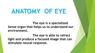 ANATOMY OF EYE
The eye is a specialized
Sense organ that helps us to understand our
environment.
The eye is able to refract
light and produce a focused image that can
stimulate neural response.
 