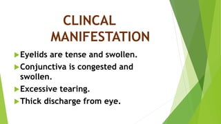 CLINCAL
MANIFESTATION
Eyelids are tense and swollen.
Conjunctiva is congested and
swollen.
Excessive tearing.
Thick discharge from eye.
 